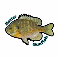 No Hook (Master Sunfish Remix)