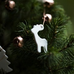 George Kopaliani & BEFS-Santa
