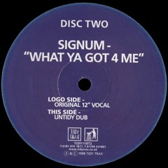 Signum - What I Need (Lozza Monta Mix)