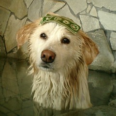 家族になろうよ Wedding ver.(Instrumental)