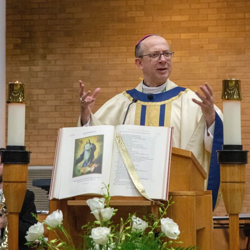 Stream Solemnity of the Immaculate Conception & Pastor Installation ...