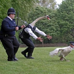 200--->BPM<---Mashup