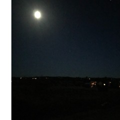 J.R. MINICK & ASSOCIATES - COLD 14