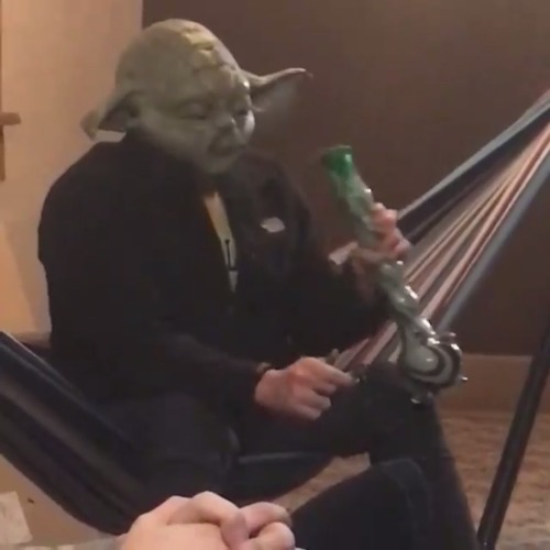 MASTER YODA