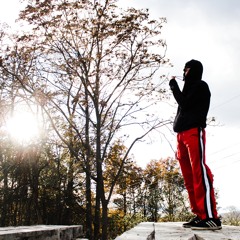 maple treeway (prod. Fly Melodies)