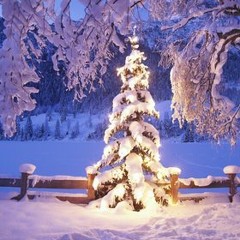Make Mistakes Presents : A Continuous Christmas