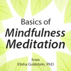 Basics of Mindfulness Meditation - Body Scan Practice (20 minutes)