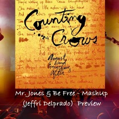 Mr. Jones & Be Free - Mash - Up (Jeffri Delprado)  Preview