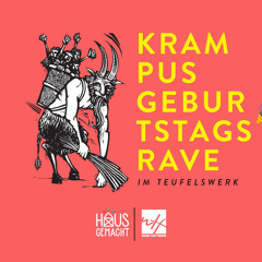 Max Kernmayer @ KrampusgeburtstagsRAVE (Werk, 7.12.18)
