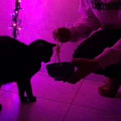 Moonlight [prod. scryer]