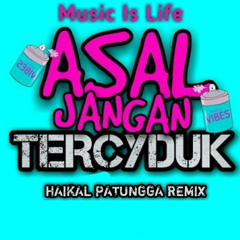 NGMC -=ASAL JANGAN TERCHYDUK (Cover Sultan Faralwi X Ridho Hernandes)-=[HAIKAL'PATUNGGA REMIX] -= FVNKY BANGER'S -=Outt.mp3