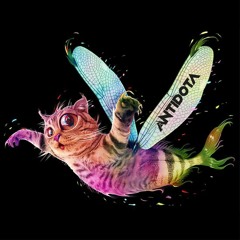 Antidota - Fly High