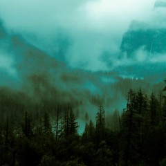 Chef Rubain | Feverfew