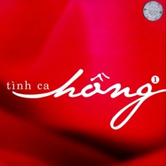 Hình Nhân Non Yếu - Lê Hiếu