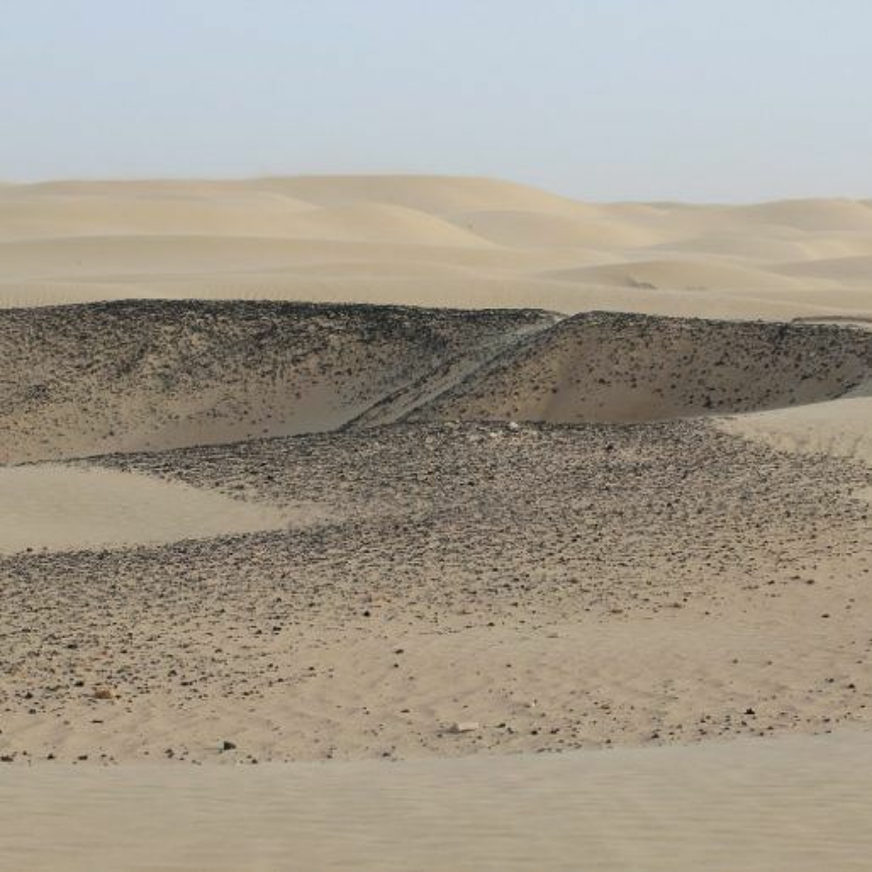 Many Stories To Tell - Science And Archaeology At Saruq Al - Hadid In Dubai episode artwork