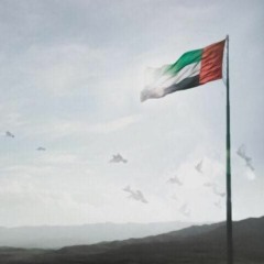 Story Behind The UAEs First Multi - Organ Transplant Program