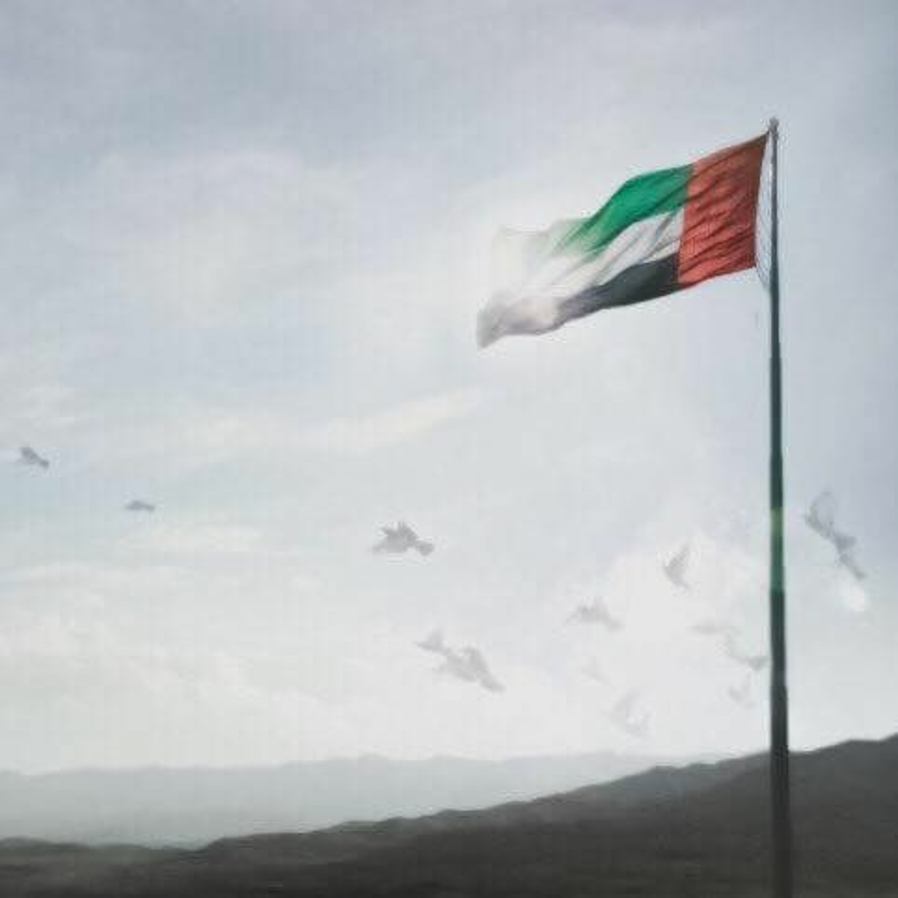 Story Behind The UAEs First Multi - Organ Transplant Program episode artwork