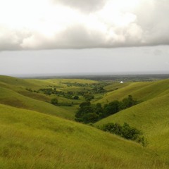 Root Music - Wasteland (Cover)