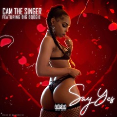 Say Yes Ft. Big Boogie