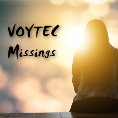 Voytec MISSINGS (2)