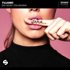 Tujamo - Say What You Wanna (SNGMN Remix)