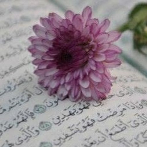 الَّذِي خَلَقَنِي فَهُوَ يَهْدِينِ | عبد الرحمن مهدي