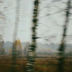 vintage.beat - hometown