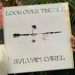 "Look Over The Nile" LP By Sylvain Carel on F.L.V.M France, 1982 - 270€