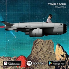 Te Gustó - Temple Sour