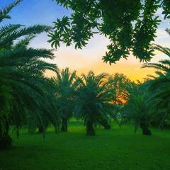 Welcome to my island (DEMO)