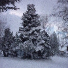 Merry Christmas to all of You!!!