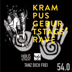 TDF 54 / 2 Years Wiener Tanz Freunde & Hausgemacht  live from das Werk