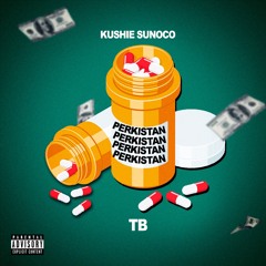 Kushie Sunoco Ft. TB - Perkistan