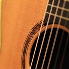 Shallow - Brown - Dry