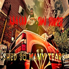 SIMI SXORSESE FEAT. ABG c.o.D -"Shed So Many Tears"