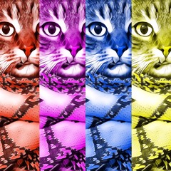 Rainbow Cat
