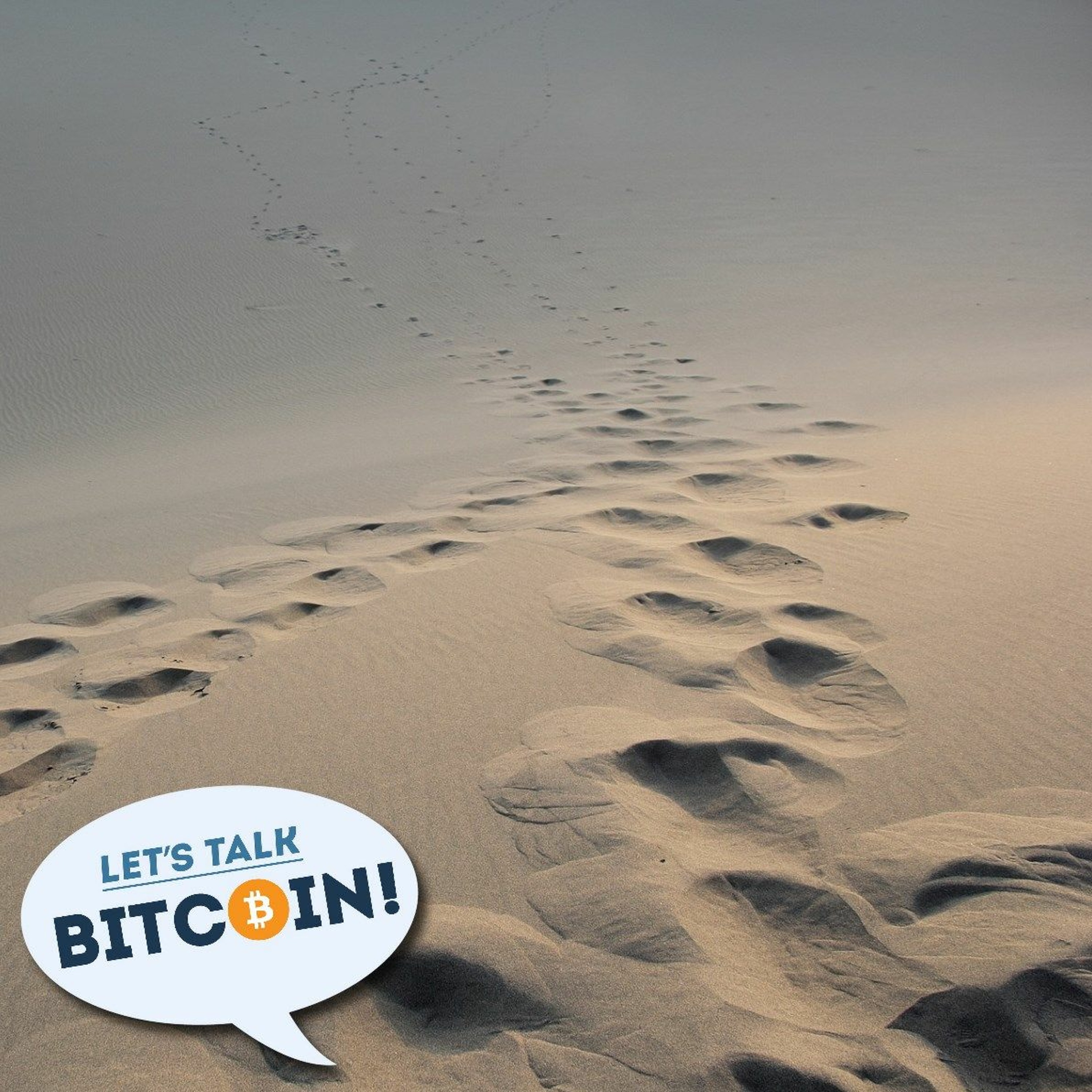 LTB #383 - Hashpower and Meta Consensus (in the world of dust)