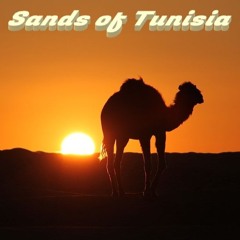 Sands Of Tunisia