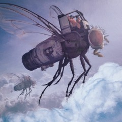 Daily Drop #2574 - The Long Road Home