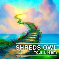 Shreds Owl - Your Dream (Original Mix)