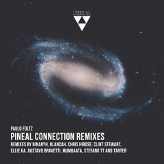 Paulo Foltz - Pineal Connection (Gustavo Bravetti Remix)