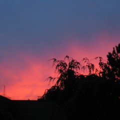 Leonard Cohen - Hallelujah (Cello Song Cover).MP3