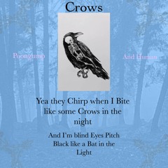 Crows Prod. RAFFE