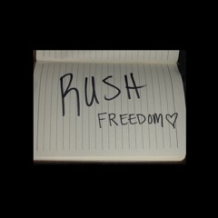 Freedom - Crazy, Stupid, Love