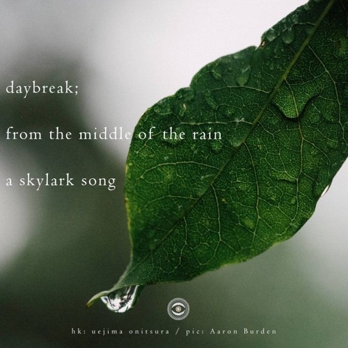 Daybreak (abstract) (naviarhaiku257)
