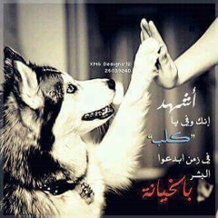 مهرجان صحاب كلاب غناء_*!*_حسام تعويزه & راديو شبرا & ابو ميدو الاكس