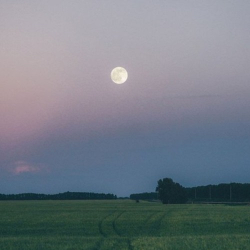 horizon of space.