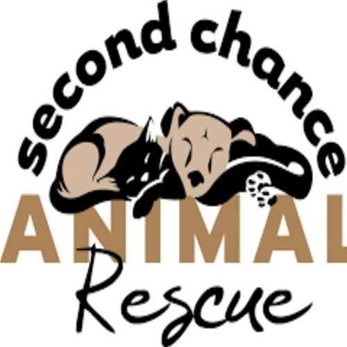 Stream Selon Sameer Goolam, président de Second Chance Animal Rescue by