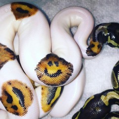 ～ I Just See Smiley Faces ～