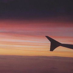 Bird can't fly in a cage